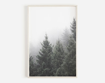 May include: A framed photograph of a misty forest with tall evergreen trees. The trees are silhouetted against a white, foggy background.