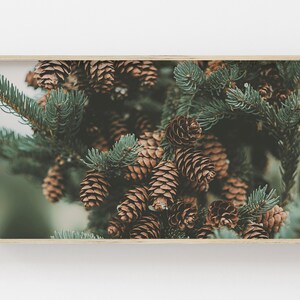 Samsung Frame TV Art | Pine Cones on Pine Tree | Pine Tree Digital Art | Winter Art for Frame TV | Instant Download | Holiday Digital Art
