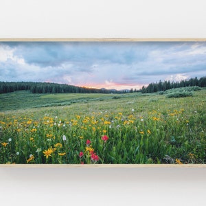 Samsung Frame TV Art | Field of Flowers Art | Colorado Art for Frame TV | Mountain Sunset Photo | Floral Digital Art | Spring Flowers