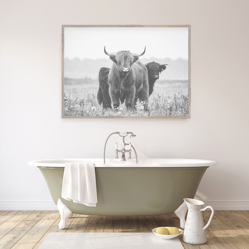 Op de afbeelding: Zwart-witfoto van twee Schotse Hooglanders die in een grasveld staan. De runderen kijken naar de camera. De foto is ingelijst in een licht houten lijst.