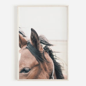Horse Ears Print, Horse Wall Art Prints, Equestrian Wall Art, Horse Photography, Farmhouse Decor, Large Horse Poster, Printable Wall Art
