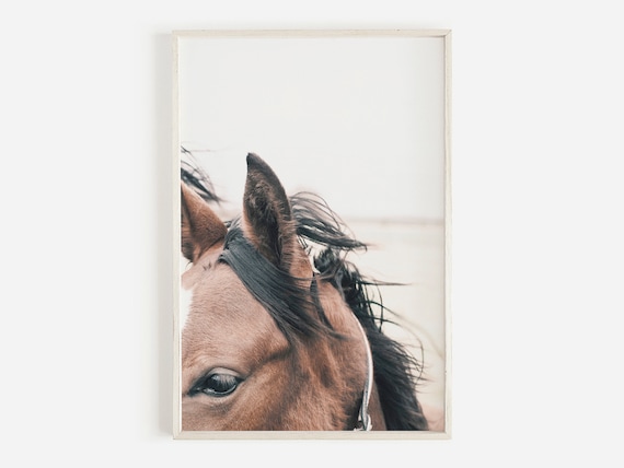 Horse Ears Print, Horse Wall Art Prints, Equestrian Wall Art, Horse Photography, Farmhouse Decor, Large Horse Poster, Printable Wall Art