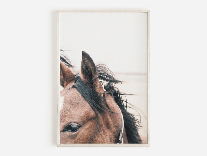 May include: Close-up of a brown horse's head with a white stripe on its face. The horse's mane is black and flowing in the wind. The horse's eye is visible and has a dark brown color.