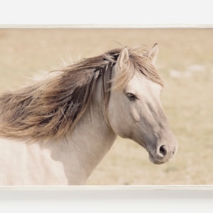 Horse Wall Art Prints, Horse Photography, Wild Horse Print, Printable Wall Art, Large Horse Poster, Modern Farmhouse Decor, Horse Art Prints
