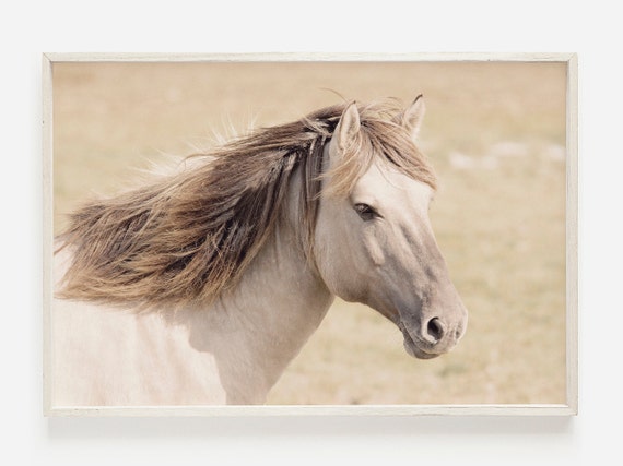 Horse Wall Art Prints, Horse Photography, Wild Horse Print, Printable Wall Art, Large Horse Poster, Modern Farmhouse Decor, Horse Art Prints