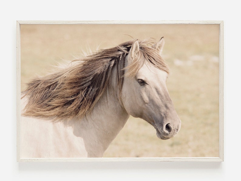 Peut inclure: Un cheval blanc avec une crini&egrave;re longue et flottante se tient dans un champ d'herbe haute. La t&ecirc;te du cheval est tourn&eacute;e sur le c&ocirc;t&eacute; et ses yeux sont ferm&eacute;s. La robe du cheval est d'une couleur cr&egrave;me claire et sa crini&egrave;re est d'une nuance de brun plus fonc&eacute;. La queue du cheval flotte dans le vent.