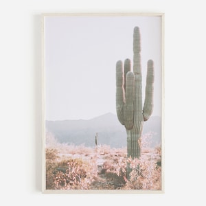 Cactus Print, Desert Decor, South Western Photo, Cactus Room Decor, Southwest Desert Photography, Arizona Poster, Digital Cactus Printable
