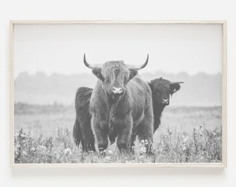 Modern Farmhouse Highland Cow Print, Shaggy Cow Digital Print, Rustic Country Decor, Bison Buffalo Cow Print, Black And White, Farm Animal