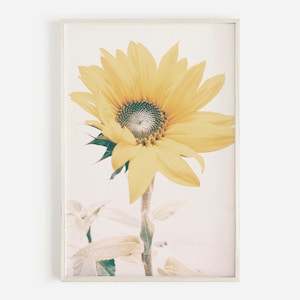 Boho Sunflower Print, Floral Art Print, Wild Flower Decor, Floral Wall Art, Botanical Print, Farm House Flower Print, Home Wall Art