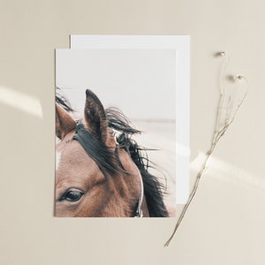 May include: A close-up of a brown horse's head with its mane blowing in the wind. The horse's eye is visible, and the background is a blurry white.