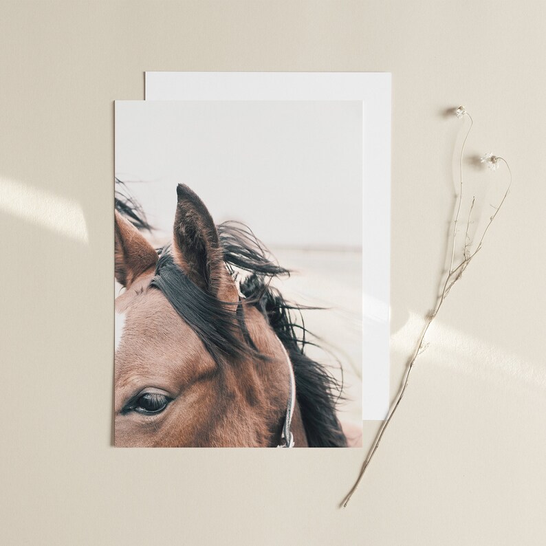 May include: A close-up of a brown horse's head with its mane blowing in the wind. The horse's eye is visible, and the background is a blurry white.