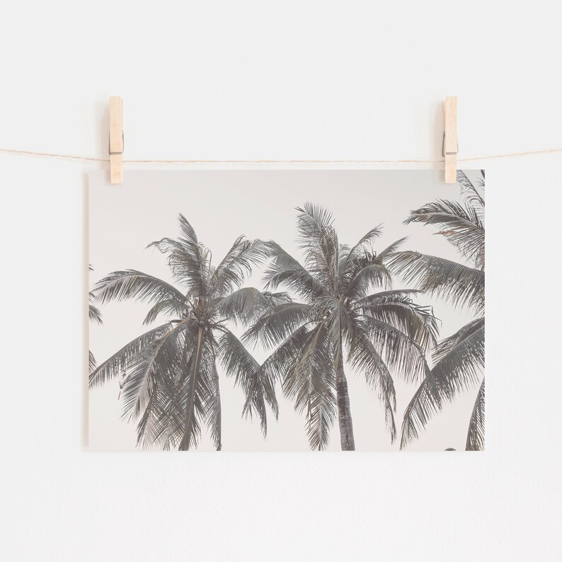 Pastel Palm Tree Print, Palms Print, California Wall Art, Beach Wall ...