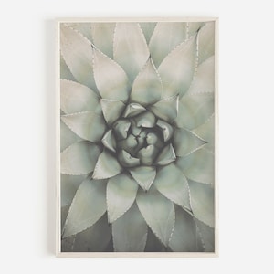 Grüne saftig druckbare, botanische Poster, Pflanzenfotografie, moderne Wandkunst, Kaktus druckbare Kunst, botanische Poster, Boho Home Decor