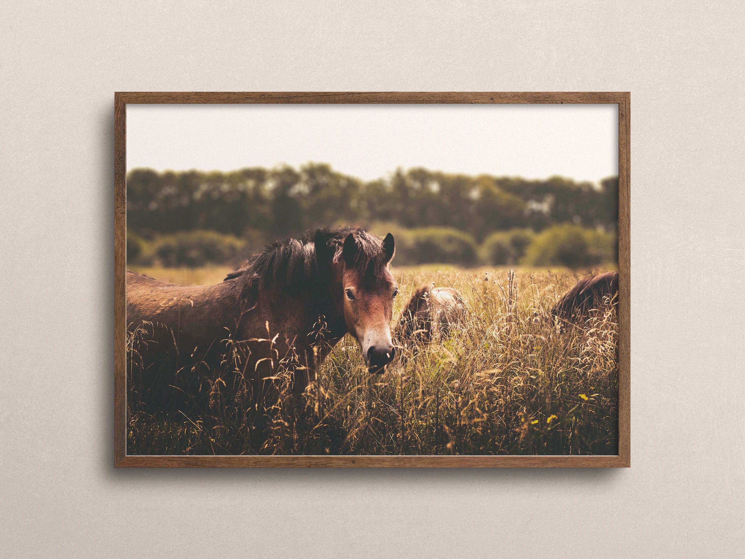 Rustic Farmhouse Horse Horse Wall Art Farmhouse Digital Etsy