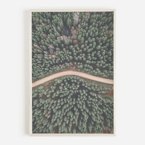 Aerial Forest Print, Evergreen Trees, Pine Forest Wall Art, Rustic Home Decor, Forest Printable Art, Woodland Wall Art, Aerial Photography