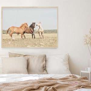 Puede incluir: Una fotograf&iacute;a enmarcada de tres caballos corriendo en un campo. Los caballos son marr&oacute;n, negro y blanco. El campo es verde y marr&oacute;n, y el cielo es azul.