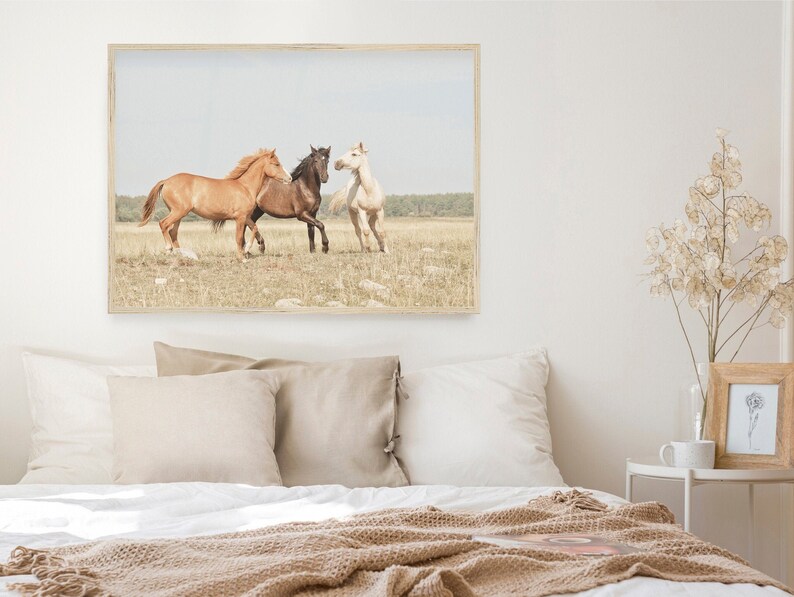 Puede incluir: Una fotograf&iacute;a enmarcada de tres caballos corriendo en un campo. Los caballos son marr&oacute;n, negro y blanco. El campo es verde y marr&oacute;n, y el cielo es azul.