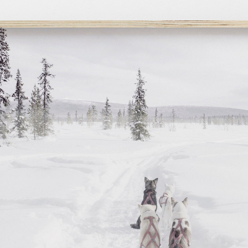 Samsung Frame TV Art Husky Dog Digital Art Winter Art for Frame TV Holiday Art Download Sled Dogs in Alaska Winter Wonderland image 4