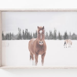 Winter Horse Wall Art, Horse Photography, Horse Poster Print, Horse Decor, Snowy Mountain Print, Downloadable Print, Printable Art