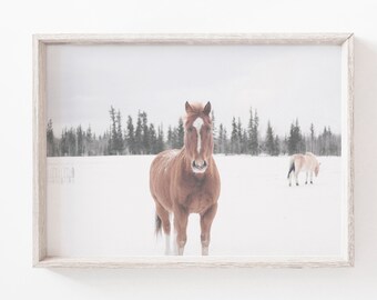 Invierno caballo pared arte, fotografía de caballos, impresión de cartel de caballo, decoración del caballo, impresión de la montaña nevada, impresión descargable, arte imprimible