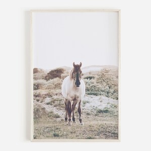 May include: A white horse with a brown mane stands in a field of tall grass. The horse is looking directly at the camera. The background is a blurry landscape of hills and trees.