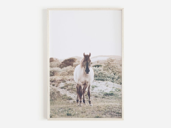 Wild Horse Print, Beach Pony Art, Equestrian Art, Horse Printable,Horse Wall Art,Equestrian Print,Horse Poster,Boho Beach Decor, Digital Art