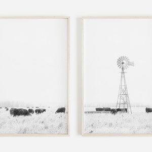 May include: A set of two black and white photographs. The first photo shows a herd of cattle grazing in a field. The second photo shows a windmill in a field with a few cattle in the distance.