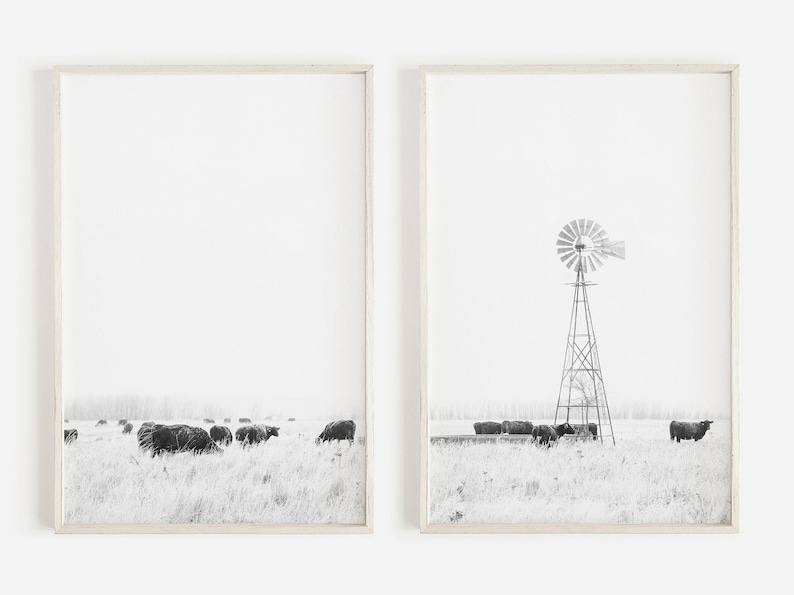 May include: A set of two black and white photographs. The first photo shows a herd of cattle grazing in a field. The second photo shows a windmill in a field with a few cattle in the distance.