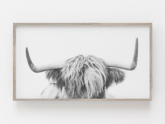 Highland Cow Digital Art Print for Digital Frame Tv Art Frame Tv Farmhouse Art for Frame TV Cow Download Samsung Frame TV Art