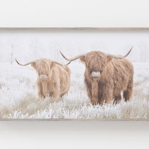 Samsung Frame TV Art | Boho Farmhouse Frame TV | Highland Cow for Frame TV | Cows in Snow | Winter Frame Tv Art | Farmhouse Art for Frame Tv