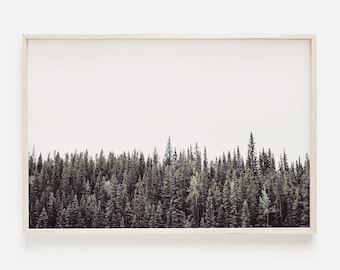 Minimalistische pijnbomen, horizontale kunst aan de muur, dennenboom afdrukbaar, natuur bos decor, minimale rustieke kunst, dennenbos fotografie