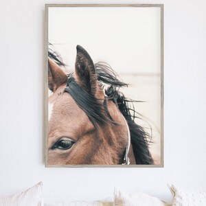 May include: Close-up of a brown horse's head with a white star on its forehead. The horse's mane is blowing in the wind, and its eye is looking directly at the camera.