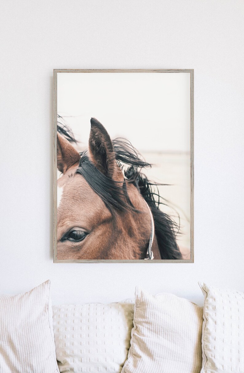 May include: Close-up of a brown horse's head with a white star on its forehead. The horse's mane is blowing in the wind, and its eye is looking directly at the camera.