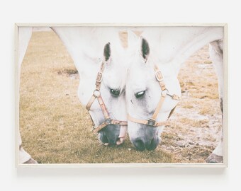 Paardenmuur kunst, paardenfotografie, landschapmuur kunst, moderne boerderij muur decor, horizontale print, boerderij decor, zachte gele muur kunst