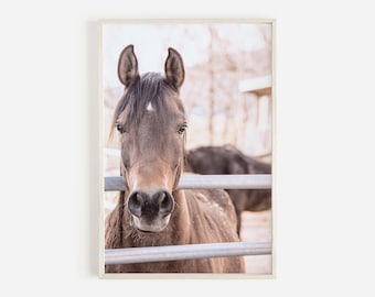 Marrón caballo impresión caballo fotografía equestrian pared arte casa decor caballo impresión imprimible pared arte gran caballo póster rústico caballo arte