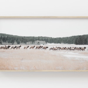 Samsung Frame TV Art | Western Elk Digital Art | Elk Art for Frame TV | Winter Digital Art | Western Landscape Frame Tv Art