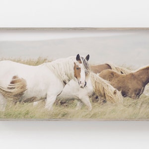 Samsung Frame TV Art | Wild Horses In Field Digital Art | Art for Frame Tv | Horse Digital Art | Animal Art For Frame Tv | Farmhouse Digital