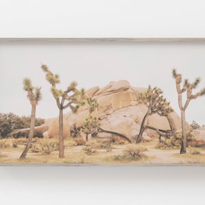 Samsung Frame TV Art | Desert Digital Art | Art for Frame TV | Cactus Art Frame TV | Samsung Art Frame | Digital Art Download For Frame Tv