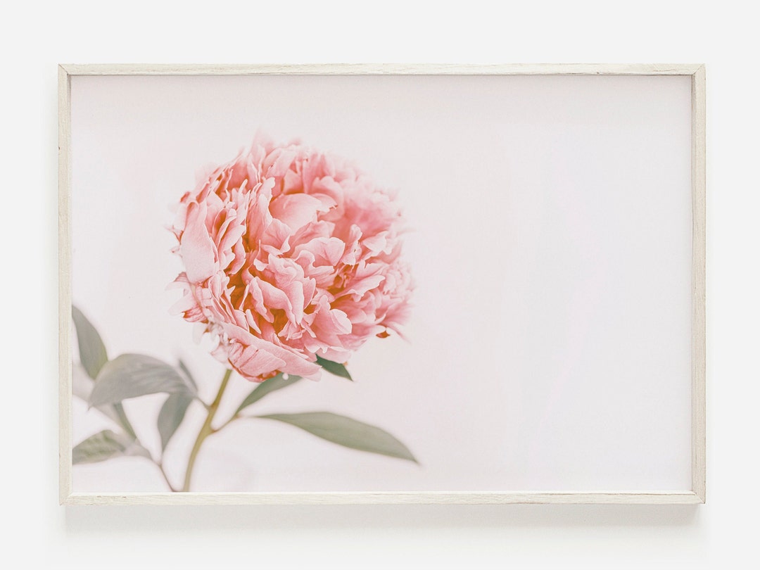 Pink Peony Print, Modern Farmhouse Printable Art, Peony Flower Print ...