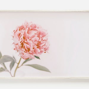 Pink Peony Print, Modern Farmhouse Printable Art, Peony Flower Print, Farmhouse Botanical Print, Peony Printable, Farmhouse Floral Print