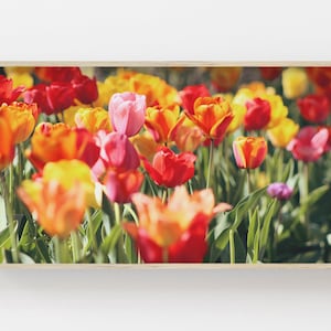 Samsung Frame TV Art | Spring Floral Art | Tulip Flowers Digital Art | Floral Art for Frame TV | Samsung Art Download | Spring Tulip Photo