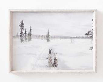 Siberian Husky Dog Wall Art, Dog Sled In Alaska Photo, Winter Wall Art, Holiday Decor, Gift for Dog Mom, Winter Printable Art, Alaska Print