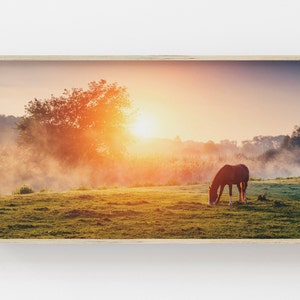 Samsung Frame TV Art | Spring Horse Art | Foggy Morning Photo | Sunrise Horse Art | Wild Horse Photo | Art for Frame TV | Spring Frame TV
