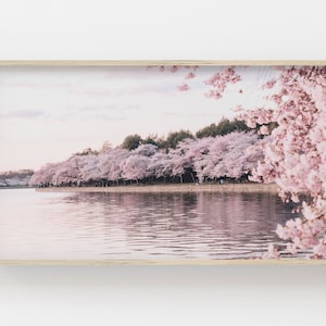 Samsung Frame TV Art | Cherry Blossom Digital Art | Pink Art for Frame TV | Cherry Blossom Frame Tv Art | Spring Art | Cherry Blossoms In DC