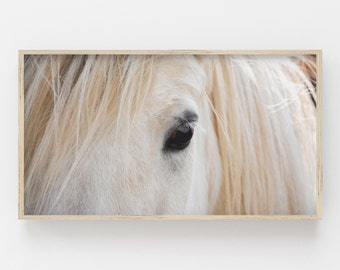 Samsung Frame TV Art | Horse Samsung Frame | Farmhouse Art Frame TV | Samsung Download | Boho Decor | Neutral Frame TV | Horse for Frame Tv