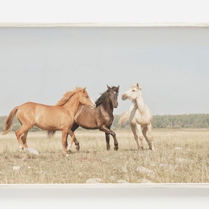 Three Horses Print, Horse Wall Art, Modern Farmhouse Art, Horse Print, Large Wall Art Horse Photography Rustic Horse Printable Digital Horse