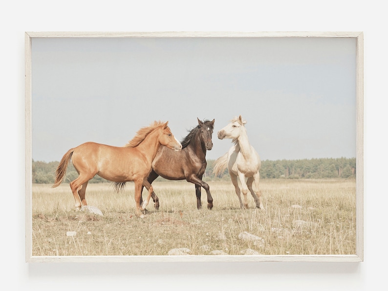 Puede incluir: Tres caballos corriendo en un campo. El caballo de la izquierda es de color marr&oacute;n claro, el caballo del medio es de color marr&oacute;n oscuro y el caballo de la derecha es de color blanco.