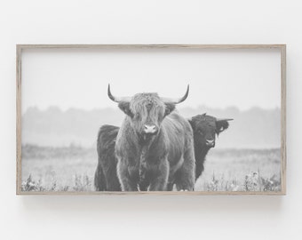 Samsung Frame TV Art | Highland Cow Digital Art | Cow Download | Farmhouse Art for Frame TV | Art Frame Tv | Print for Digital Tv