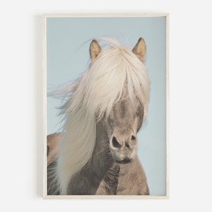 Horse Wall Art, Shaggy Horse Photo, Modern Farmhouse Art, Icelandic Horse Print, Rustic Farmhouse Decor,Printable Wall Art,Horse Photography
