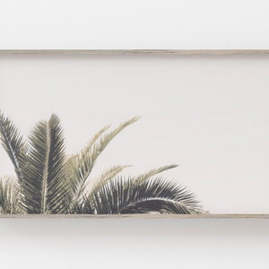 Samsung Frame TV Art | Palmboom digitale kunst | Tropische palmkunst voor frame-tv | Beach Digital Art | Palms Art Frame Tv | Samsung Art Frame
